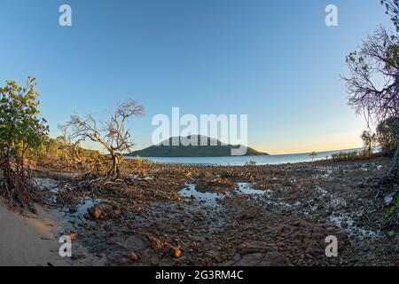 Sunrise spreading a warm glow over a saltwater mangrove environment on a rocky beach at low tide with an island background, fish eye lens Stock Photo