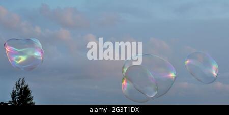 Iridescent soap bubbles floating in a cloudy evening sky Stock Photo