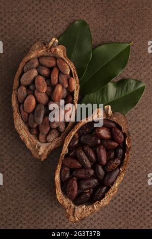 Peeled and unpeeled cocoa beans in a pod on brown background. Stock Photo