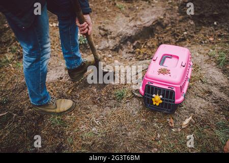 The topic of burial of pets is not legal. Man digs hole with shovel for burying an animal in the forest. The owner makes the gra Stock Photo