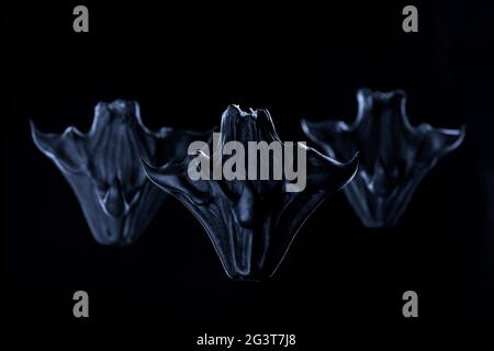 Group of horned demons on a dark background. High quality photo Stock Photo