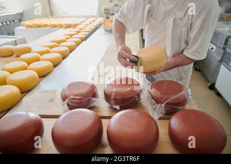 Cheese maker at local production factory Stock Photo