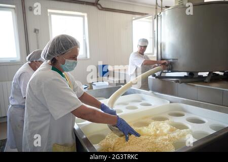 Workers preparing raw milk for cheese production Stock Photo