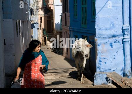 A lady and a cow walks through a narrow street of the blue city of Jodhpur, Rajasthan, India Stock Photo
