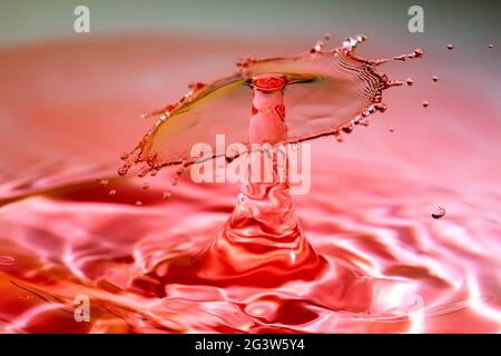 Water splash crown resulting after a drop collision on red Stock Photo