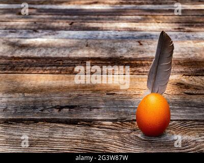 Chicken eggs with a bird feather on a wooden table. Stock Photo