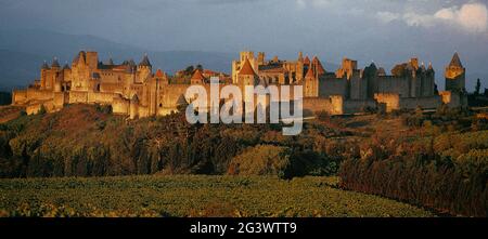 FRANCE. AUDE (11) CITY OF  CARCASSONNE ON THE SOUTH SIDE, VINYARDS IN FRONT IN AUTUMN Stock Photo