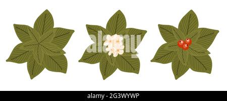 Botanical elements for a landscape plan. Landscaping constructor. Plants top view isolated on white background. Vector illustration Stock Vector