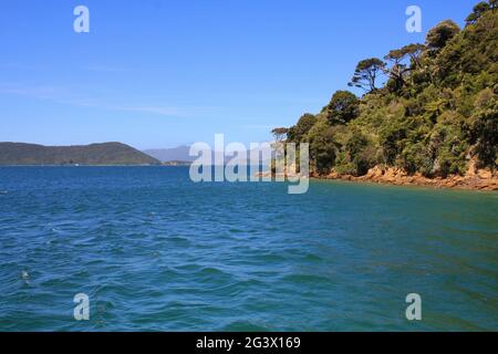Turquoise sea water in the Queen Charlotte Sound. Stock Photo