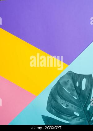 Colored paper background with tropical leaf Stock Photo