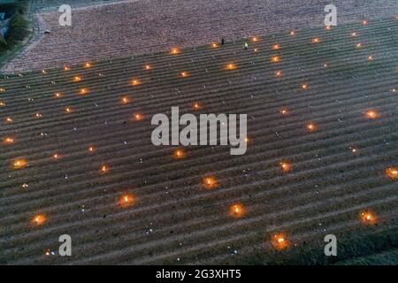Monnieres (north western France): candles lit up between the rows of vines to save crops from succumbing to sharp spring frosts. Aerial view in the ea Stock Photo