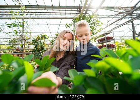 Mother and her little son take caring of plants in the greenhouse Stock Photo
