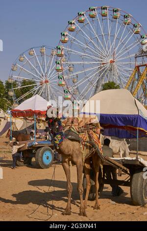 Ferris wheels at the annual Pushkar Fair in Rajasthan, India. Stock Photo