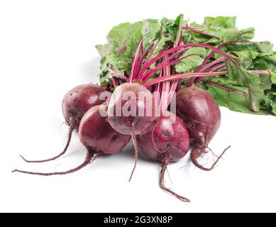 Beet, beetroot bunch on dark background, copy space Stock Photo