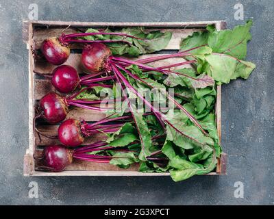 Beet, beetroot bunch on dark background, copy space Stock Photo