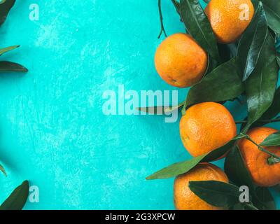 Tangerines, oranges, mandarins on blue background Stock Photo