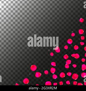 Roses Petals Realistic in Transparent background. Vector illustration Stock Vector