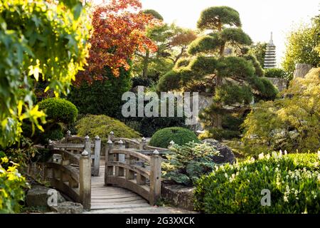Japanese Garden, Seepark, Freiburg im Breisgau, Black Forest, Baden-Württemberg, Germany Stock Photo