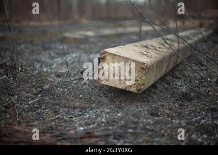 Concrete beams on the ground. Build materials after a fire. Remains on the scorched earth. Concrete blocks. Stock Photo