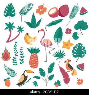 Tropical plants and birds, exotic flora and fauna Stock Vector