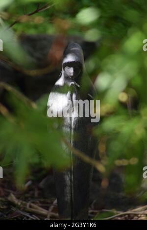 Praying Woman Figurine portrait Stock Photo