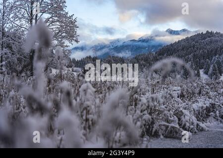 View through the clouds to the Sojerngruppe with Schöttelkarspitze and Sojernspitze, Krün, Mittenwald, Bavaria, Germany. Stock Photo