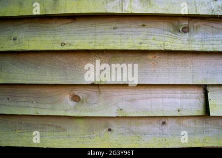 Aged feather edged boarding Stock Photo