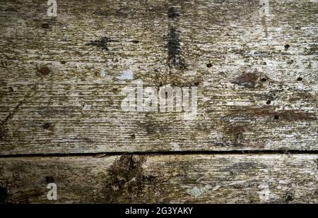Wood texture, two sawn pine planks Stock Photo