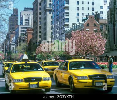 2006 HISTORICAL YELLOW TAXI CABS PARK AVENUE MIDTOWN MANHATTAN NEW YORK CITY USA Stock Photo