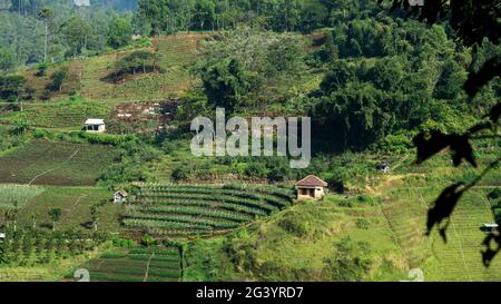 Indonesian Green hills close to vegetable plantations in East Java, Indonesia Stock Photo