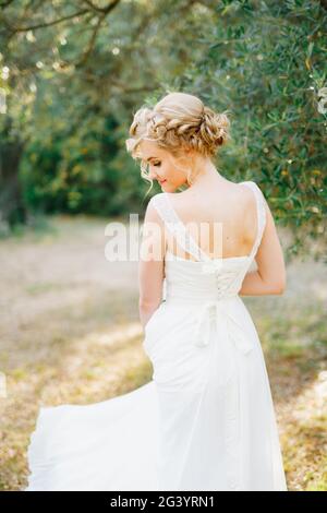 A gentle blonde bride stands by an olive tree in the middle of a grove, back view Stock Photo