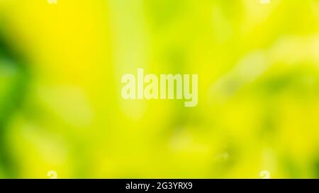 Indonesian Green bokeh out of focus blur background from flower garden Stock Photo