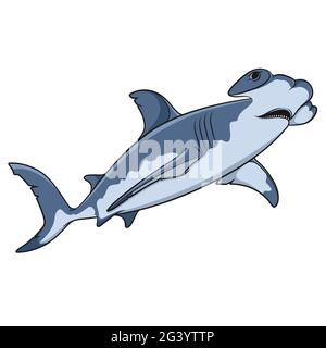 Vector color illustration of the hammerhead shark. Isolated object on a white background. Stock Vector