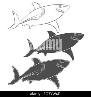 Set of vector illustrations with a great white shark. Isolated objects on a white background. Stock Vector