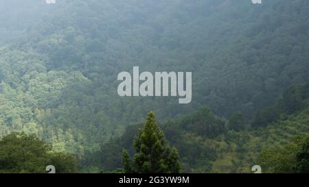 Indonesian Green hills close to vegetable plantations in East Java, Indonesia Stock Photo