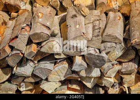 Preparation of firewood Stock Photo