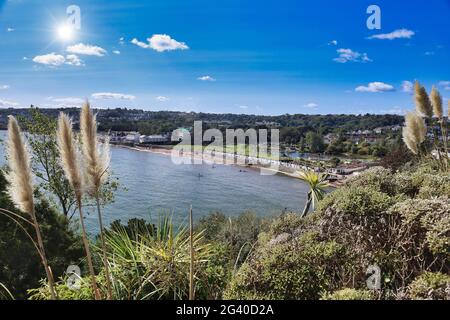 Looking down over the beach huts and Youngs park,Goodrington Sands, Paignton in Torbay,South Devon,Southwest England. Stock Photo