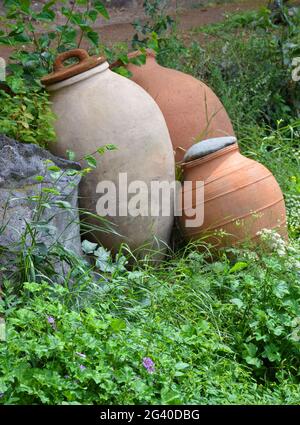 Old clay jugs in a garden Stock Photo
