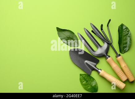 Set of garden tools with wooden handles on a green background, top view Stock Photo