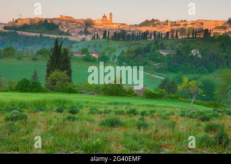 View of Urbino at Sunrise, Marche, Italy Stock Photo