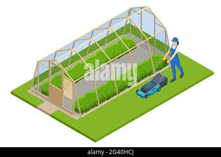 Isometric Greenhouse isolated on white. Growing seedlings in glasshouse. Plants crop in greenhouse Stock Vector