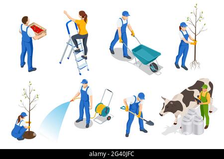 Isometric set of farmers or agricultural workers planting crops, farmer with a wheelbarrow, harvesting, planting a fruit tree, farmer watering plants Stock Vector