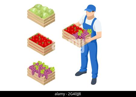 Isometric farmer holding a box with apples and grapes. Farmer with freshly harvested apples in wooden box. Agriculture and gardening concept Stock Vector