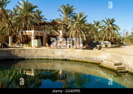 The Siwa Oasis in the Sahara in Egypt Stock Photo