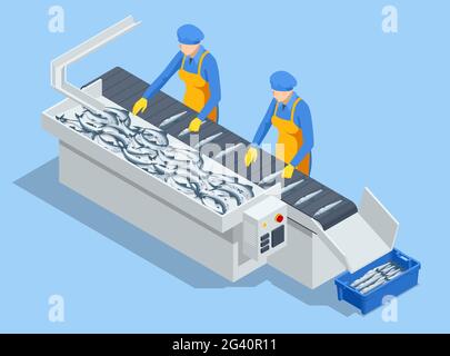 Isometric fish industry seafood production, sorting fish concept. Presale preparation. Stock Vector