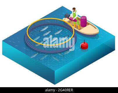 Isometric Fish Farm. Producing Trout and Salmon, Carp, Tilapia, and Catfish. Fish farming or pisciculture involves raising fish commercially in tanks Stock Vector