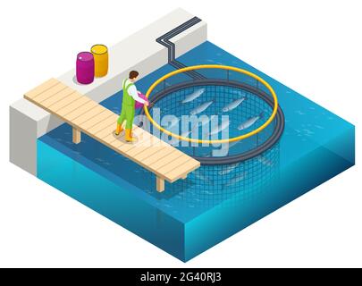 Isometric Fish Farm. Producing Trout and Salmon, Carp, Tilapia, and Catfish. Fish farming or pisciculture involves raising fish commercially in tanks Stock Vector