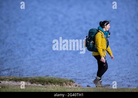 Cumbria, England. Fell walker strolls along the side of Buttermere Lake 15 June 2021 Stock Photo