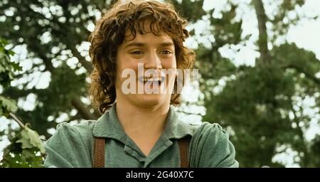 игорьпопов: Frodo Baggins in Dr. Livesey style