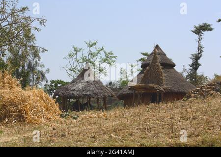 Ethiopia; Southern Nations Region; southern Ethiopian highlands; Tsemay village near the wide river; fertile plains; Cultivation of corn, sorghum, cot Stock Photo